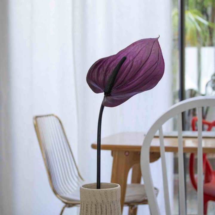 Purple anthurium for wholesale by Flowrette