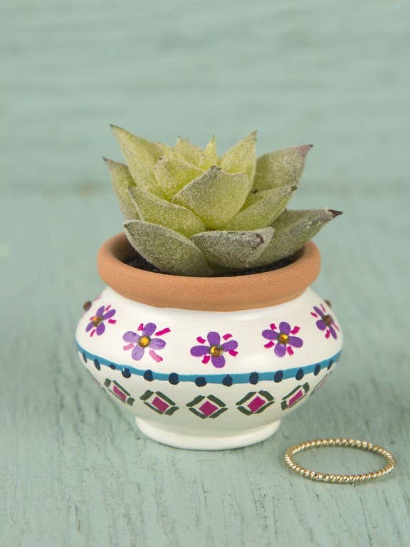 Succulent Cream and Navy for wholesale by Care & Share Giftware
