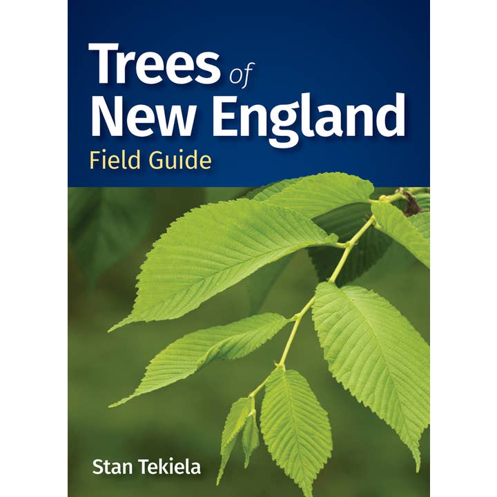 Trees of New England Field Guide for wholesale by AdventureKEEN