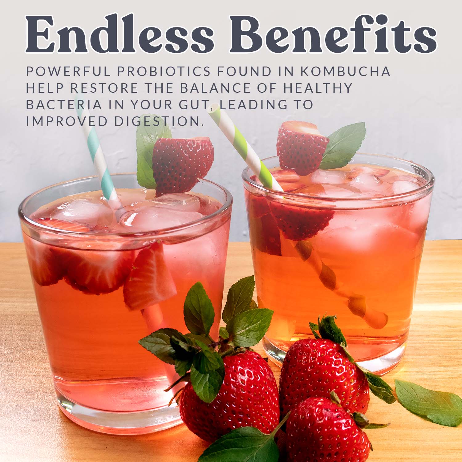 Cultures for Health - Wholesale DIY Food Kit - Organic Kombucha Starter Culture 6