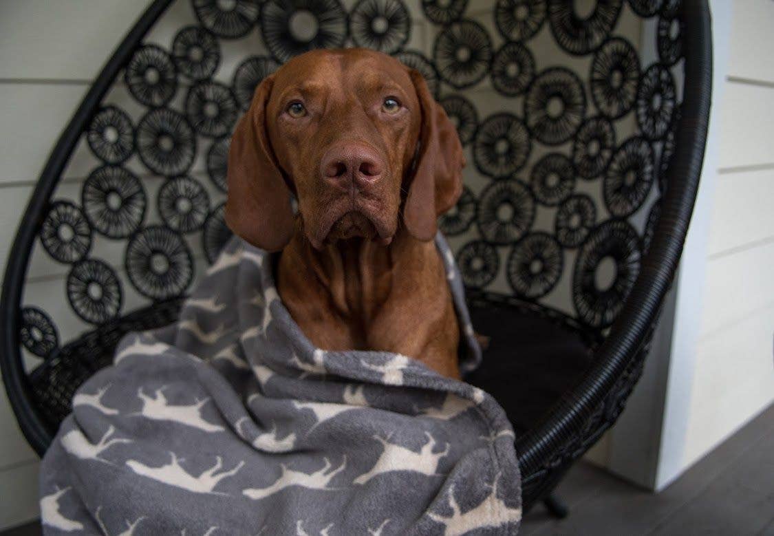 Tall Tails - Venta al por mayor Manta - Perros - Manta para Perro Tall Tails Gris Carbón 76 x 102 cm2