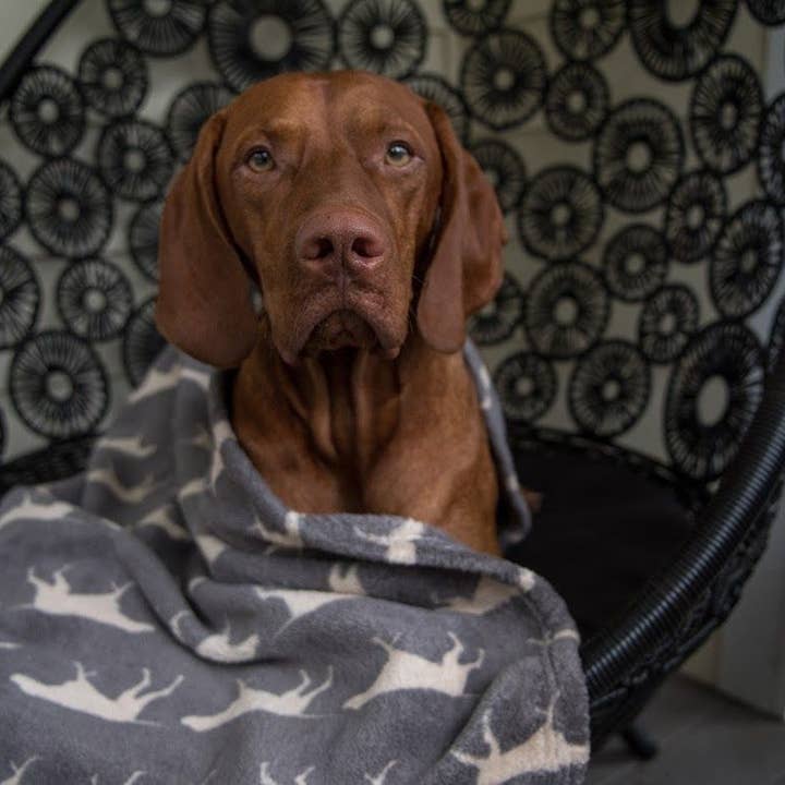 Tall Tails - Venta al por mayor Manta - Perros - Manta para Perro Tall Tails Gris Carbón 76 x 102 cm2