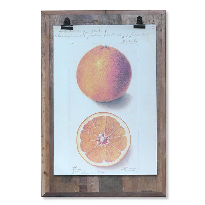 Blackburn udklipsholder for engroshandel hos Nature and Style Wohnkultur Import GmbH