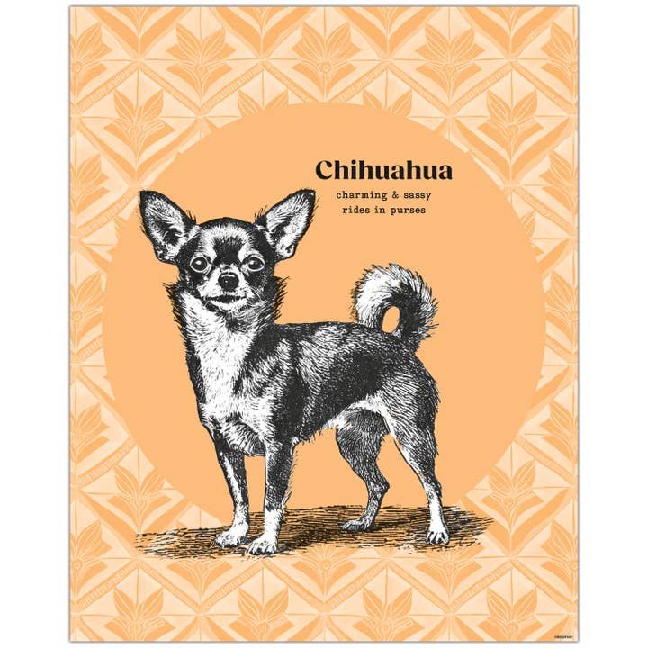 Décoration murale moderne de Chihuahua, une affiche cool de Chihuahua pour la vente par Mod Day Art