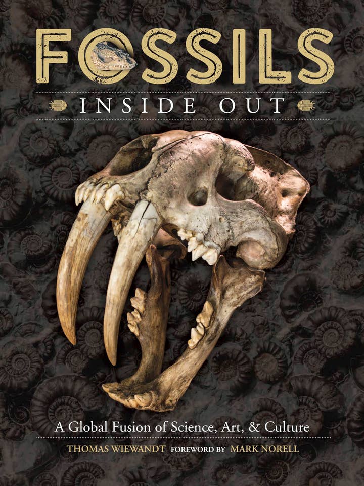FOSSILS INSIDE OUT: Global Fusion of Science, Art, & Culture for wholesale by Wild Horizons Productions