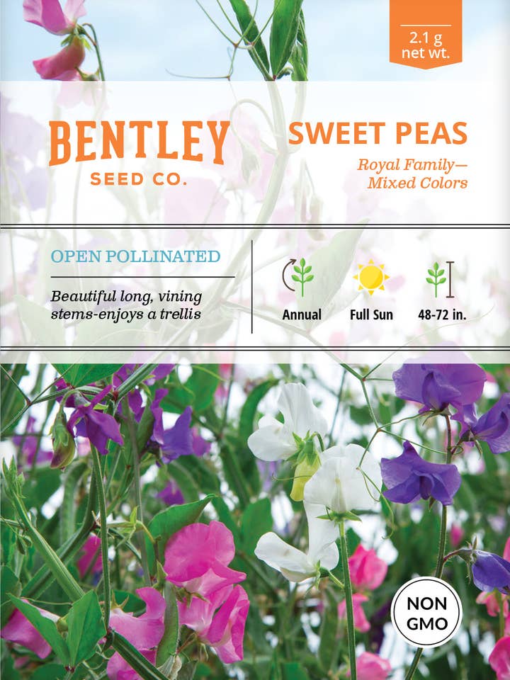 Sweet Peas-Royal Family Mixed Colors-Lathyrus Odoratus for wholesale by Bentley Seed Co.