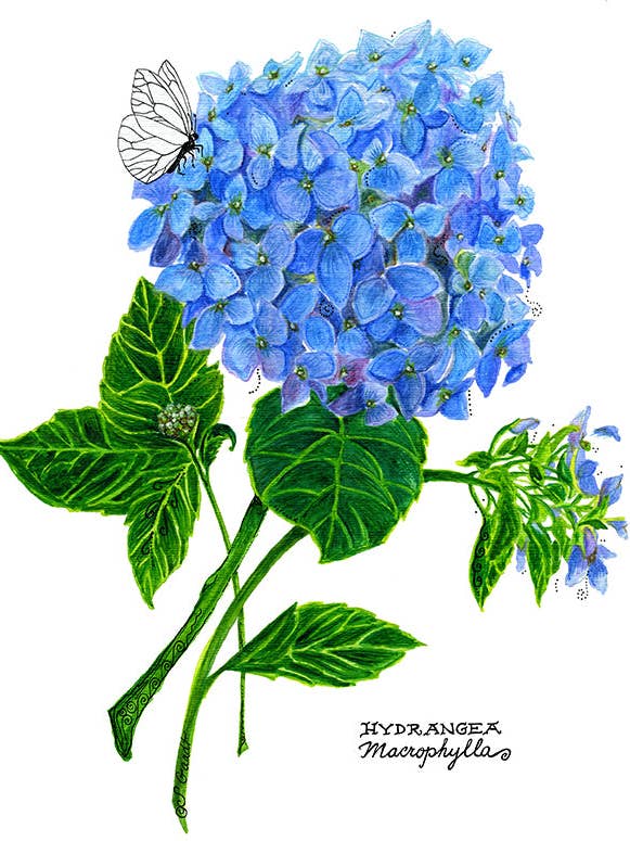 Hydrangea Tea Towel for wholesale by Give A Fig