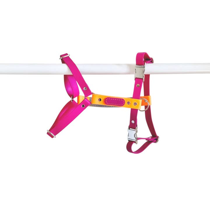 Hypoallergenisches wasserdichtes Geschirr LOLLIPOP - Biothane® für den Großhandel von L&Z Dogwear