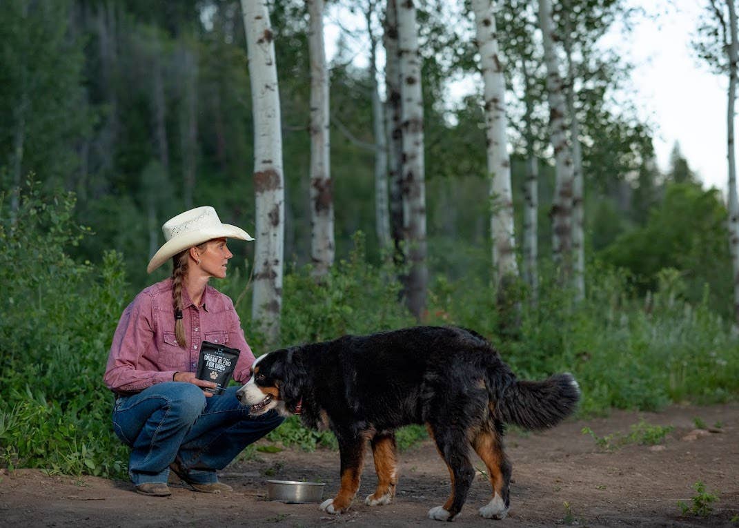 L2 Ranch - Venta al por mayor Suplemento - Perros - Mezcla de órganos de res 100 % alimentada con pasto para perros6