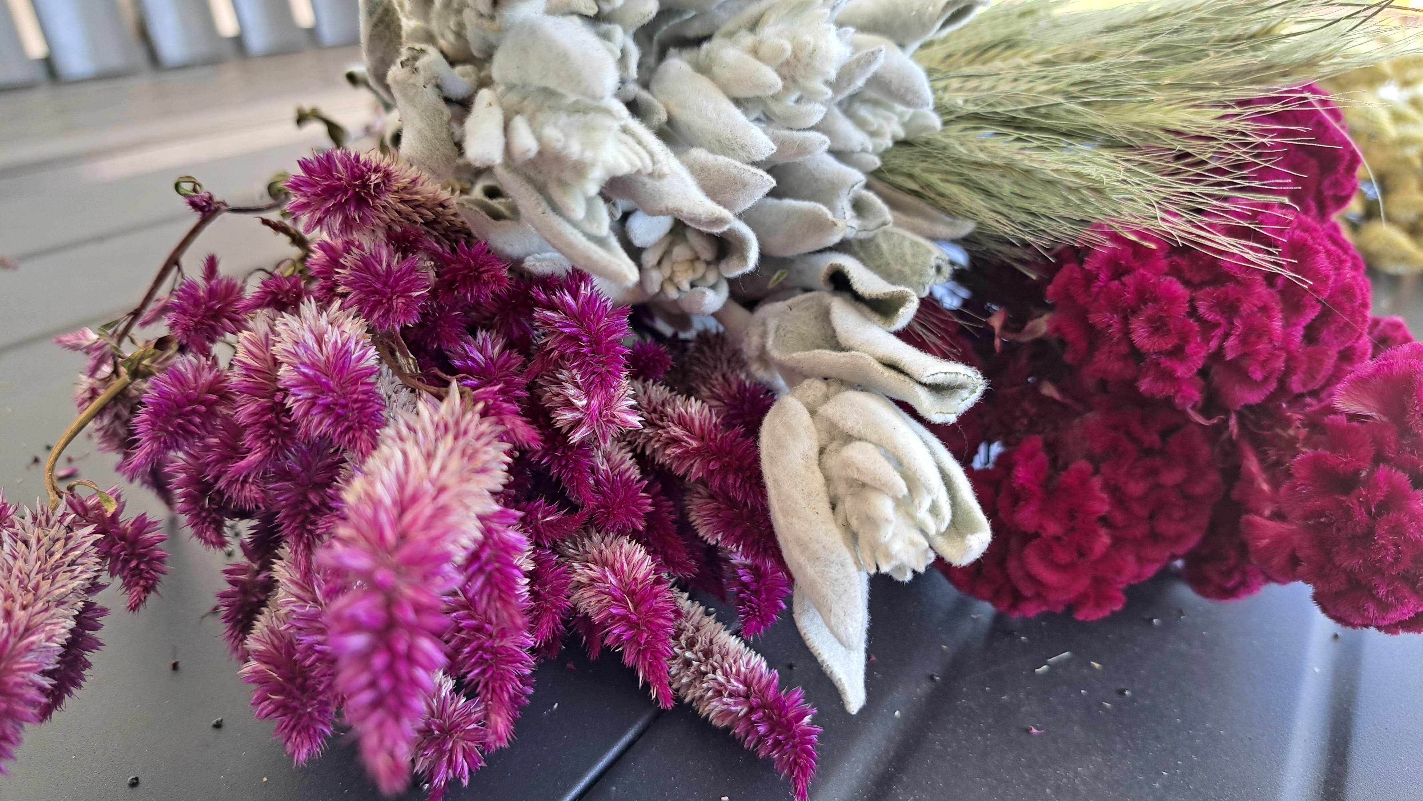 Fence Post Florals - Wholesale Dried/Pressed Flowers - Celosia-Purple Celway2