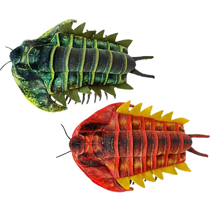 Jouet fossile à collectionner en peluche Trilobite de 12 po pour la vente par Texas Toy Distribution