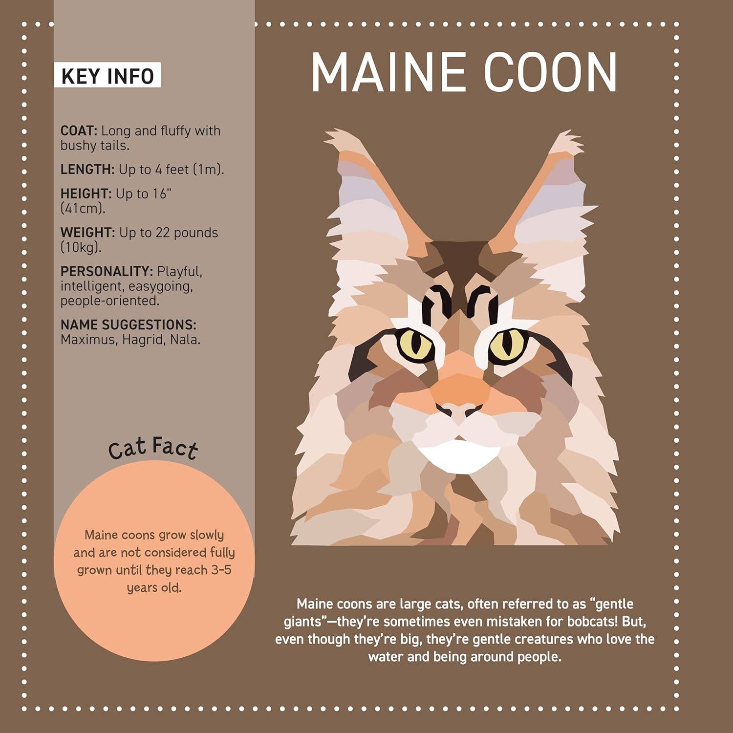 Fox Chapel Publishing - Vente Livre de coloriage et d'activités pour enfants et bébés - Mes peintures autocollantes : Chats - 10 félins incroyables4