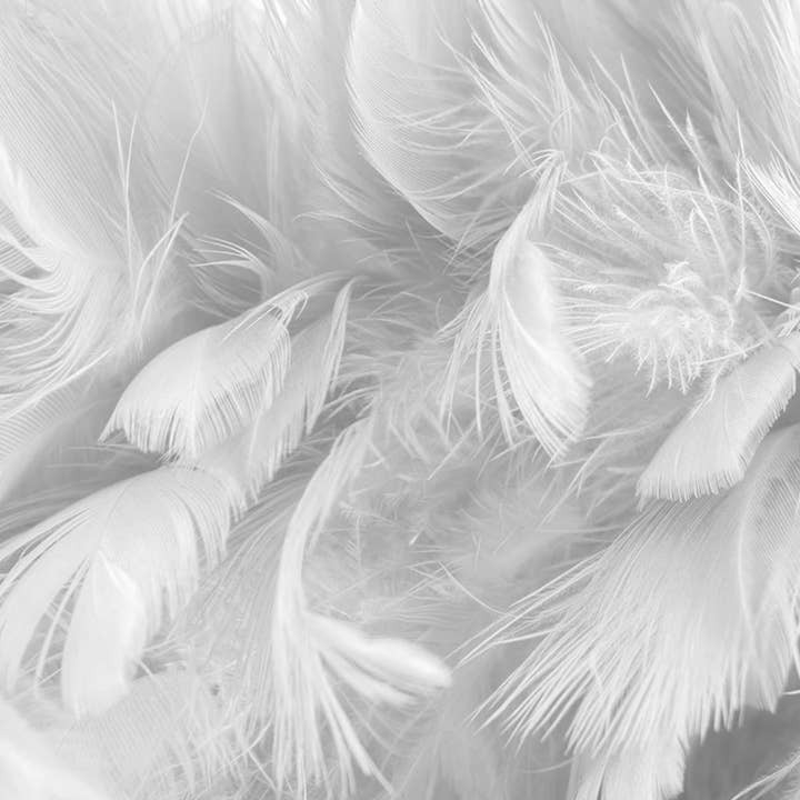 Saardé - Wholesale Throw Pillow Cover - Feather Insert for Saarde Pillow Covers