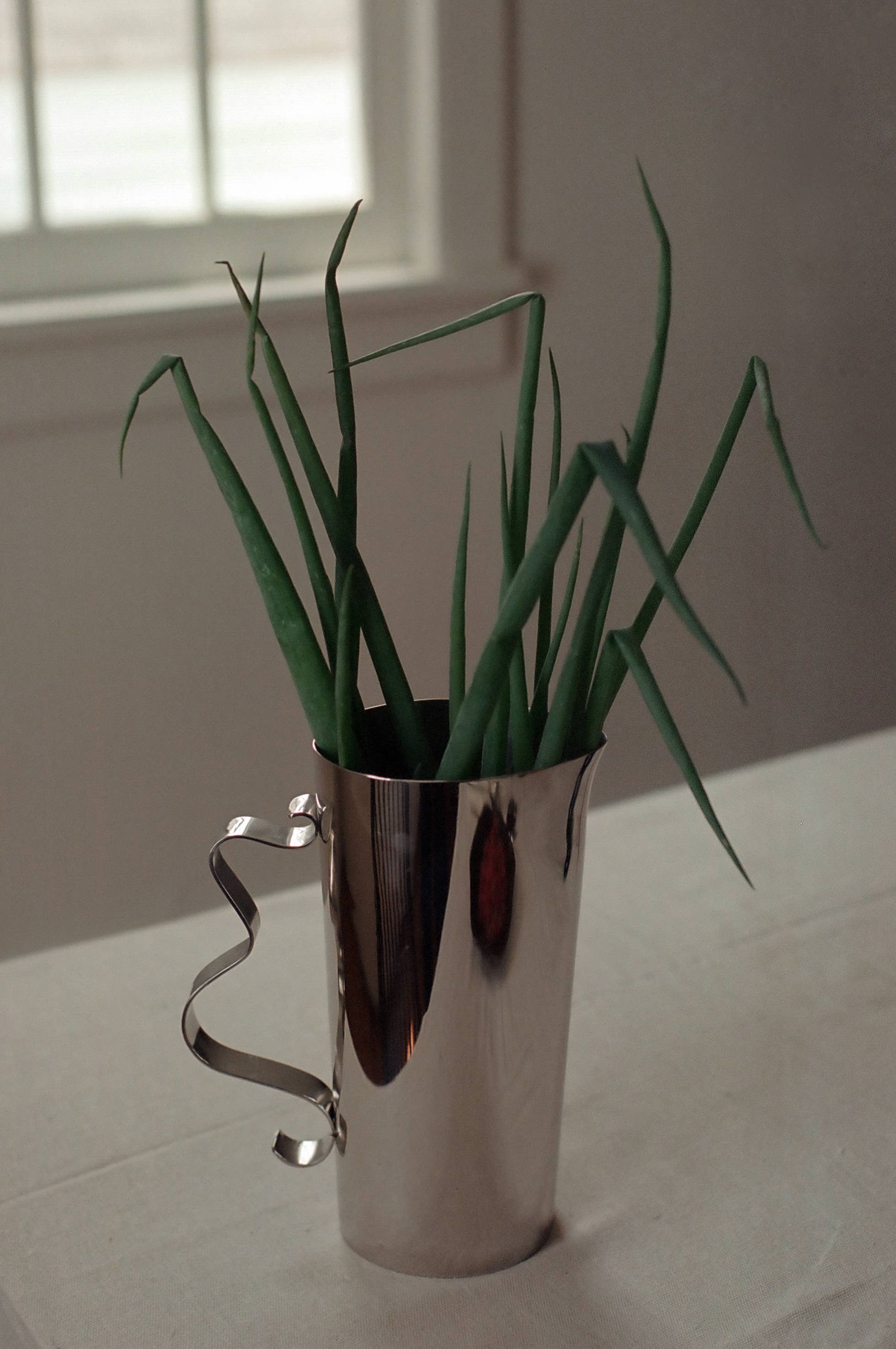 Sophie Lou Jacobsen – Großhandel Krug – Squiggle Krug aus spiegelpoliertem Edelstahl mit wellenförmigem Griff4