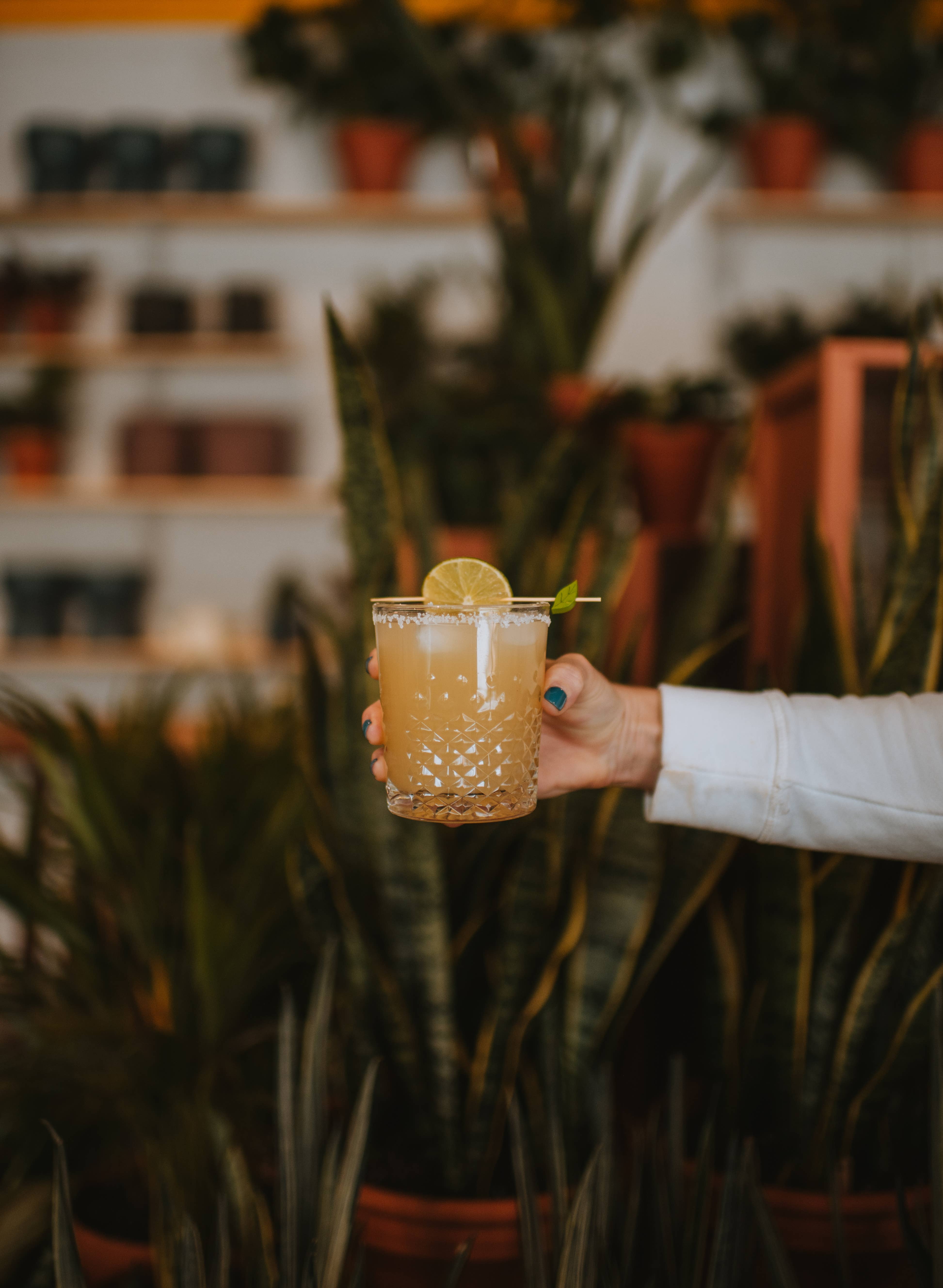 Brewt's - Wholesale Cocktail Mix/Syrup - Classic Margarita Mix | 32 oz6