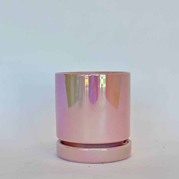 Momma Pots - Wholesale Plant Pot - 6.5" Iridescent Cylinder Pots with Water Saucers 2