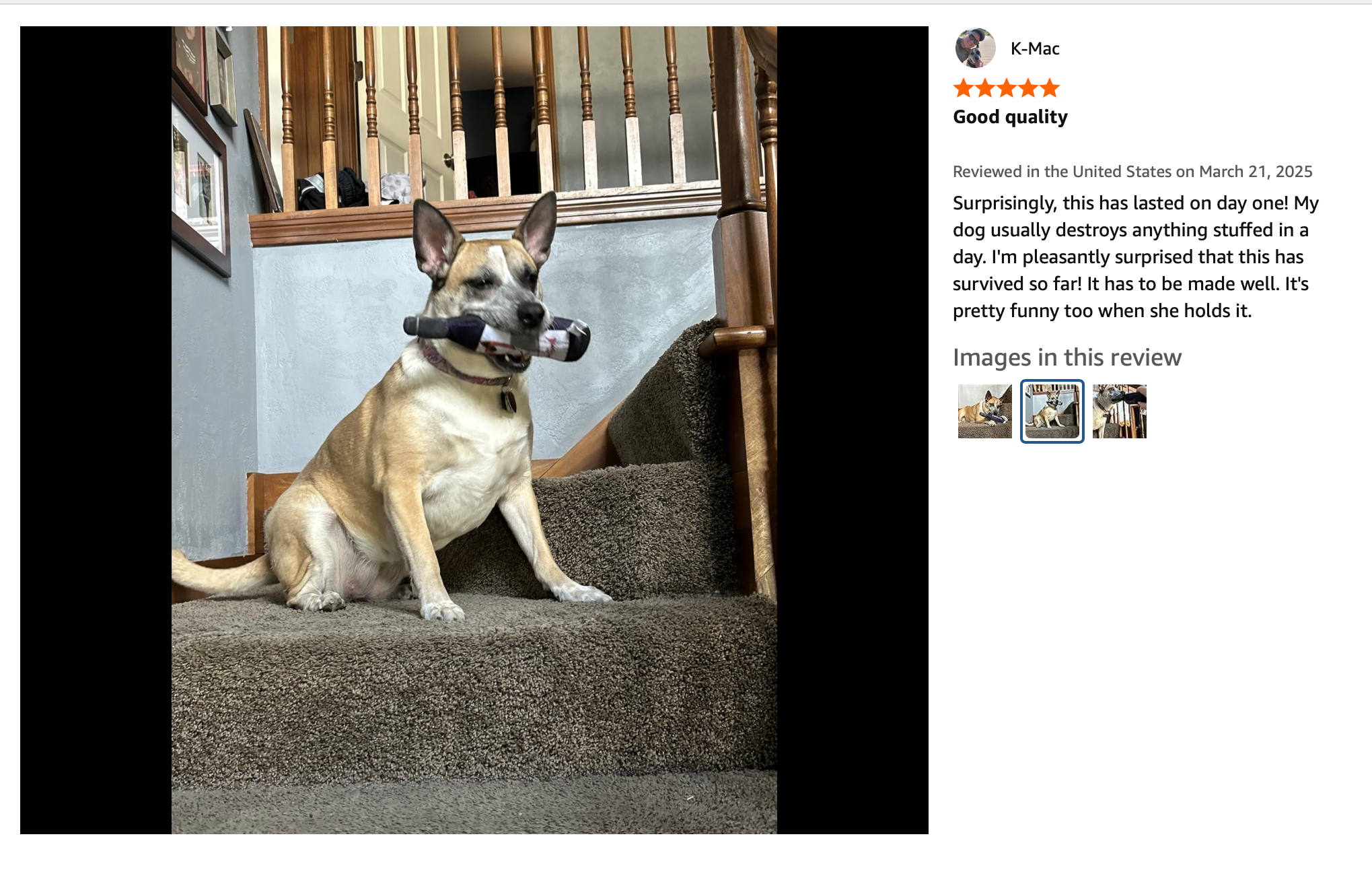 Pawcasso – wholesale Pet plush toy – Dog – Barkolo16