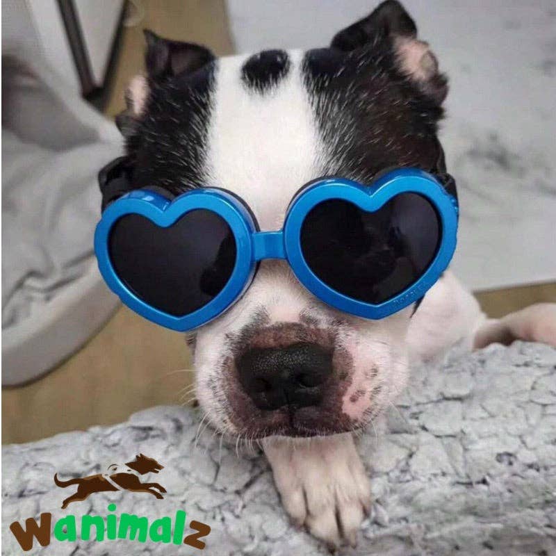 Wanimalz - Wholesale  - Dog glasses | SUNDOG range10