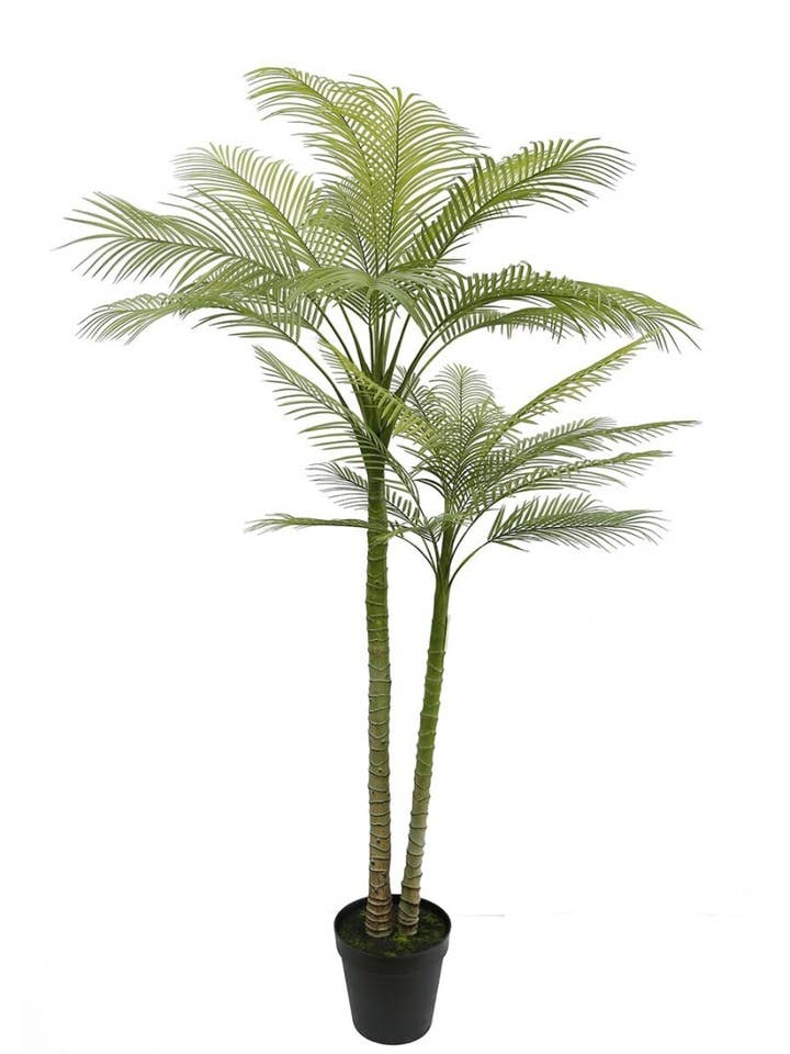 Palm Tree X2 Plastic 226cm for wholesale by Aguilar Málaga