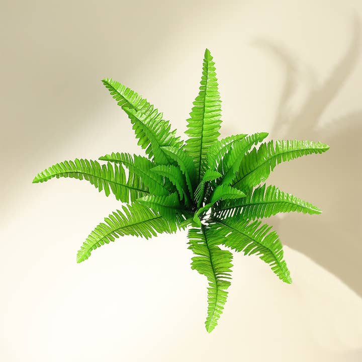 SoapElenGlen - Wholesale Artificial Plant - 22'' Artificial Boston & Persian Fern Bundle, Plan3