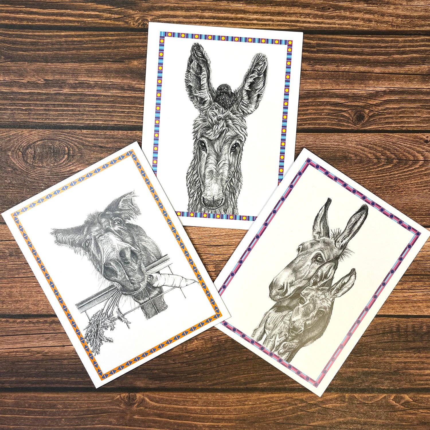 Woollybear Travels - Wholesale Stationery/Notecard Set - Donkey notecards- Pack of 63