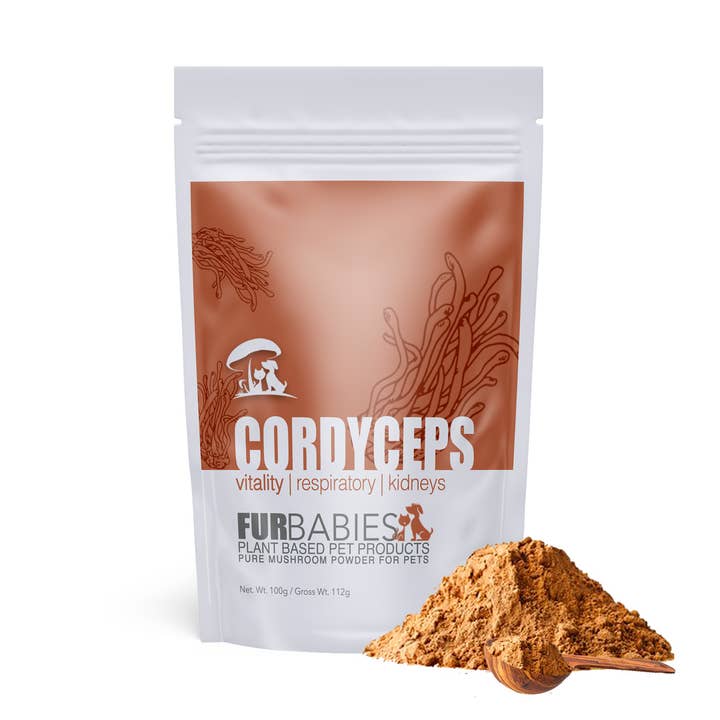 Cordyceps Mushroom Powder 100g bag or 50g bag for wholesale by FurBabies Pet Products