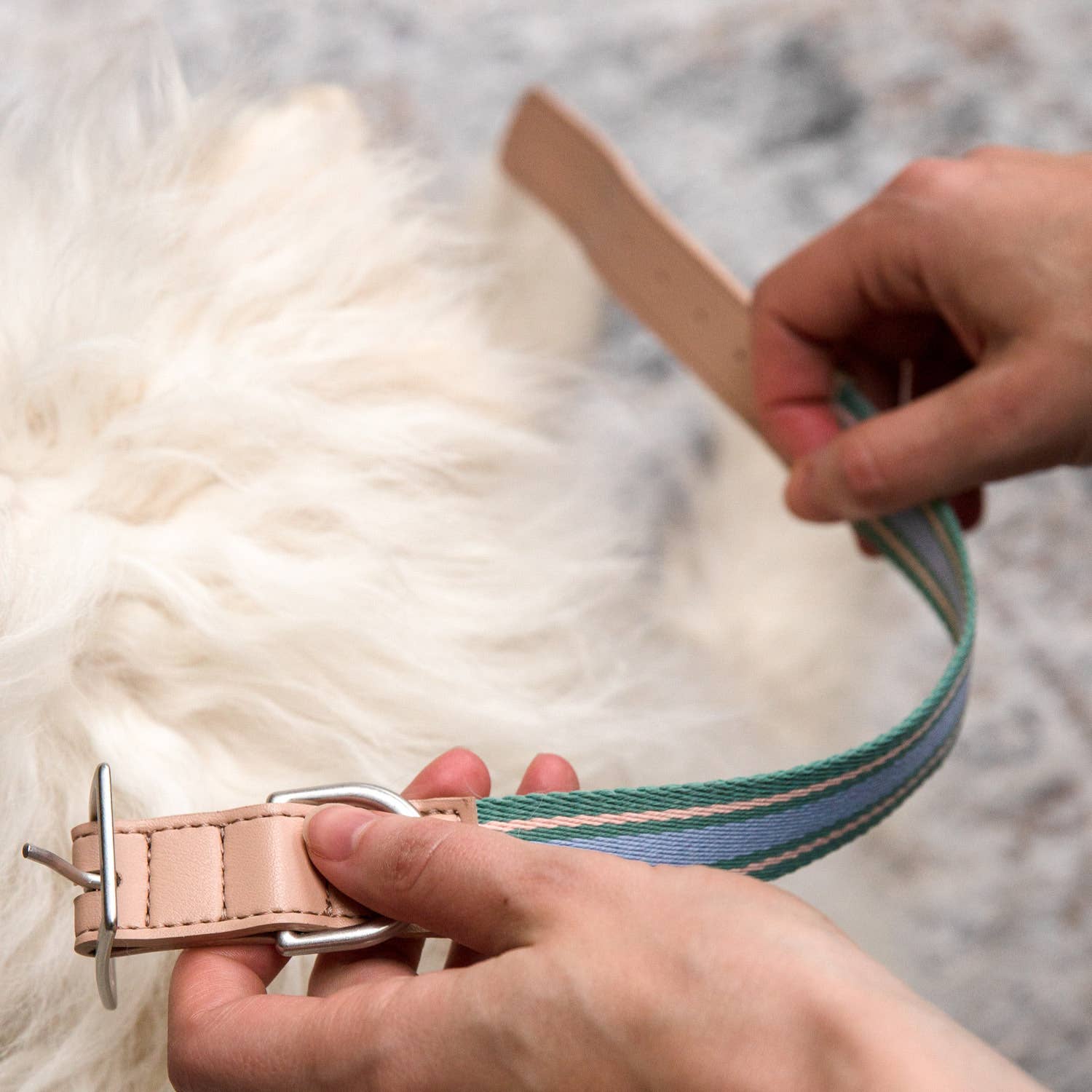 Pawness - Venta al por mayor Collar - Perros - Collar para perro Trix3