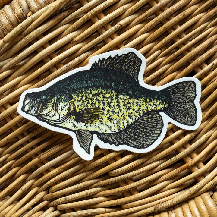BruleBay - Wholesale Sticker - Crappie Fish Sticker Decal1