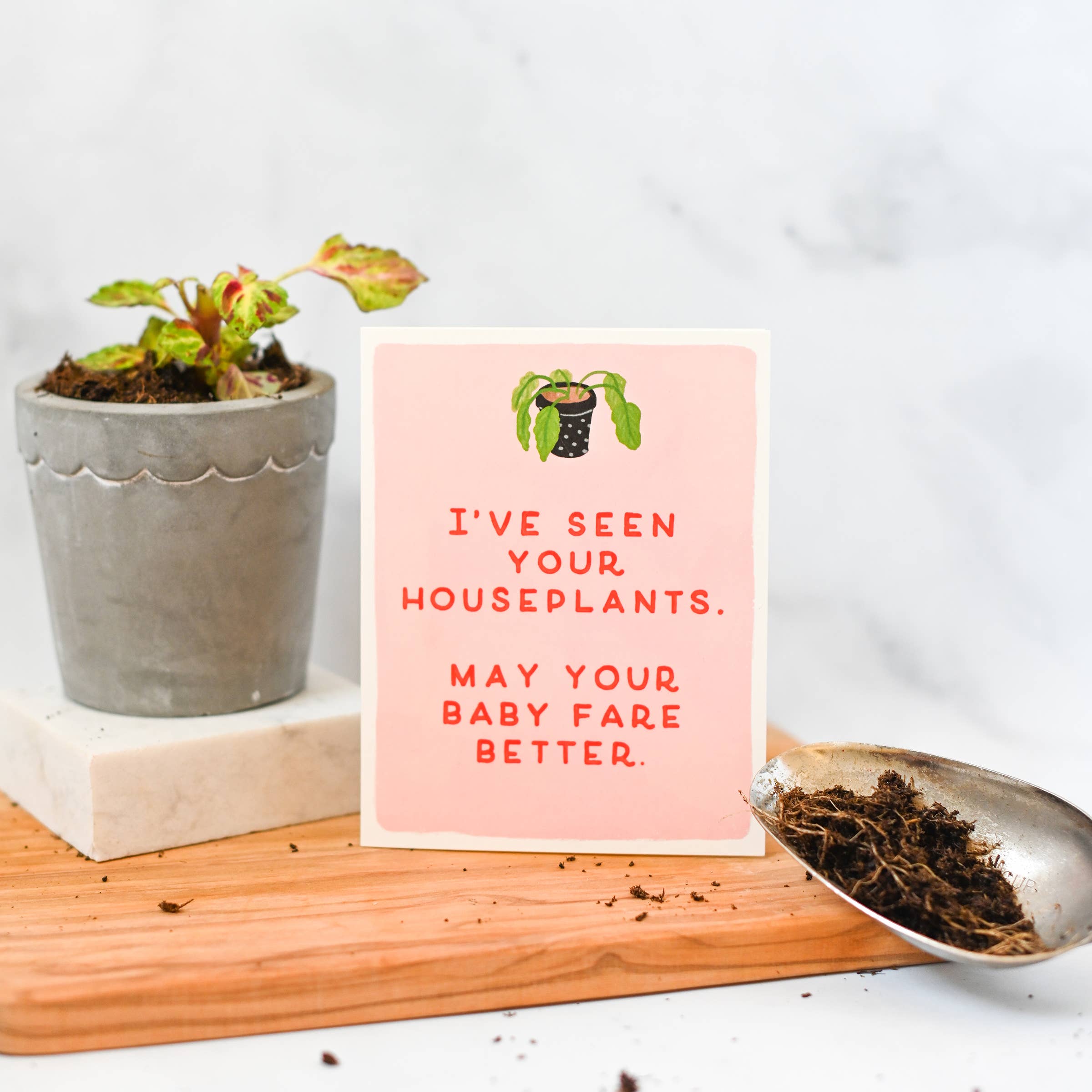 Slightly Stationery - Wholesale Baby Card - Better Than Your Houseplants | Funny Baby Shower Card2