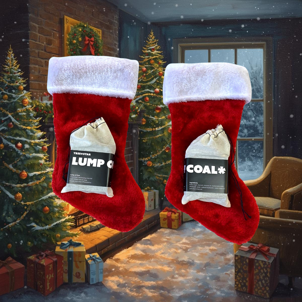 TREE*STAR - Wholesale Bar Soap - Lump of Coal Soap2