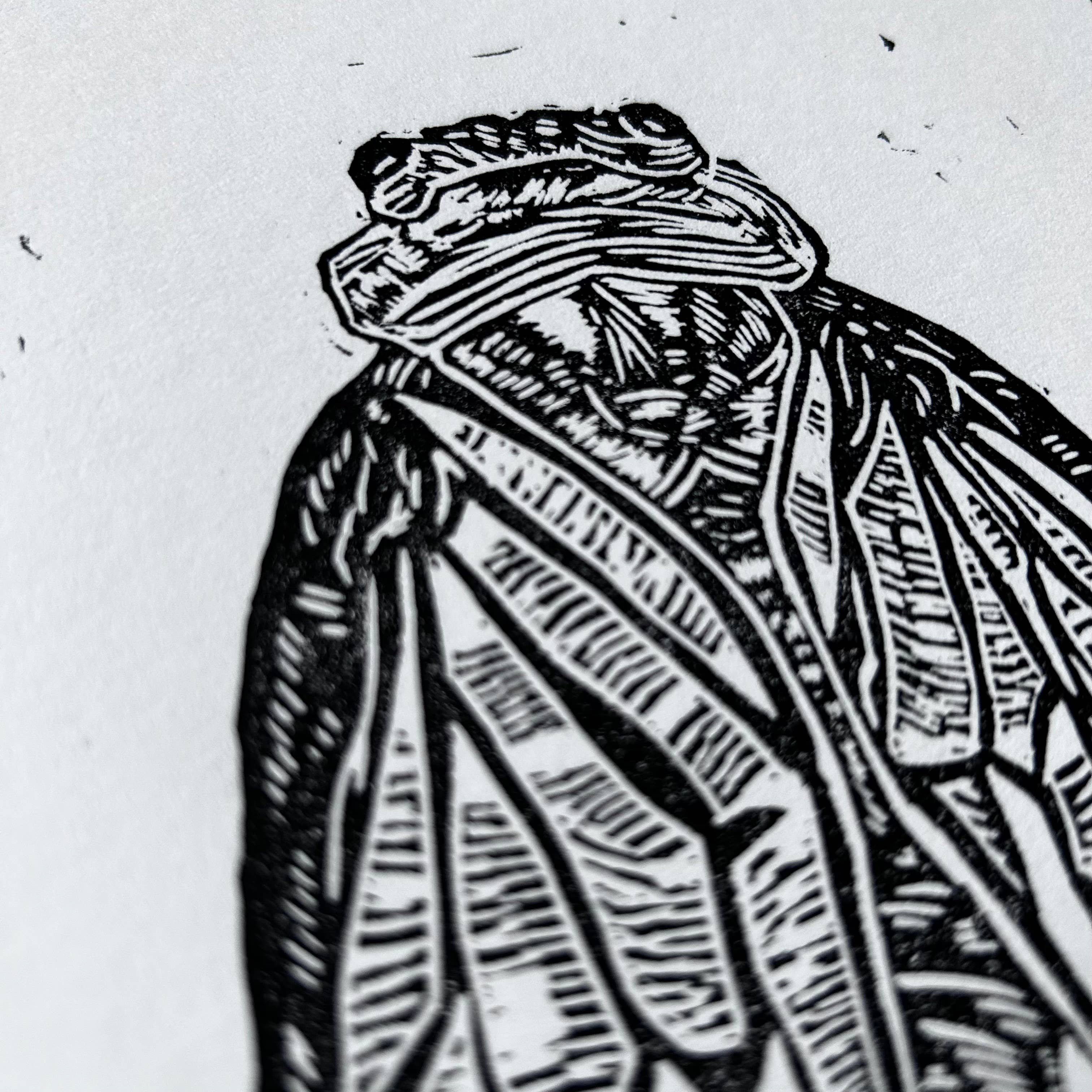 Salted Teeth - Wholesale Art Print - Cicada - Linocut Art Print1