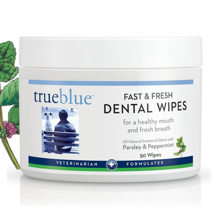 Fast & Fresh Dental Wipes for wholesale by TrueBlue