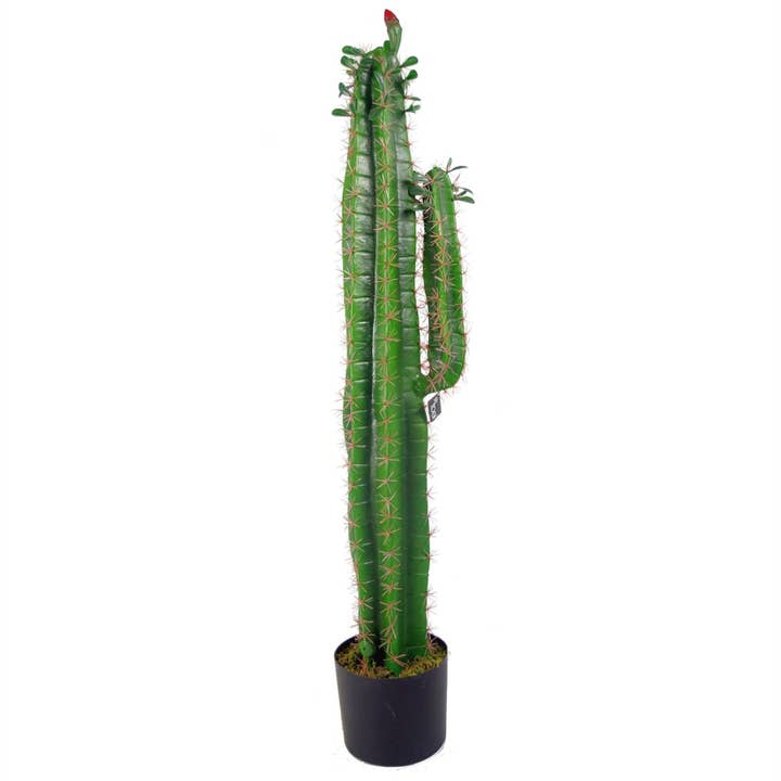 Artificial Cacti Cactus Plant 110cm Plants House Plants for wholesale by Leaf Design UK LTD