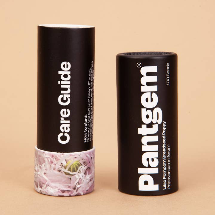 Plantgem - Wholesale Plant Seeds - Breadseed Poppy Lilac Pompom - 50 Seeds3