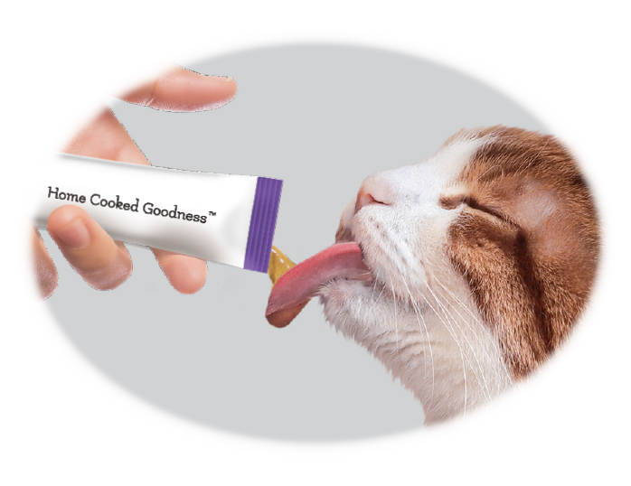 Caru - Wholesale Pet Food - Cat - Cafe Nara Lickable Treat for Cats - Chicken2