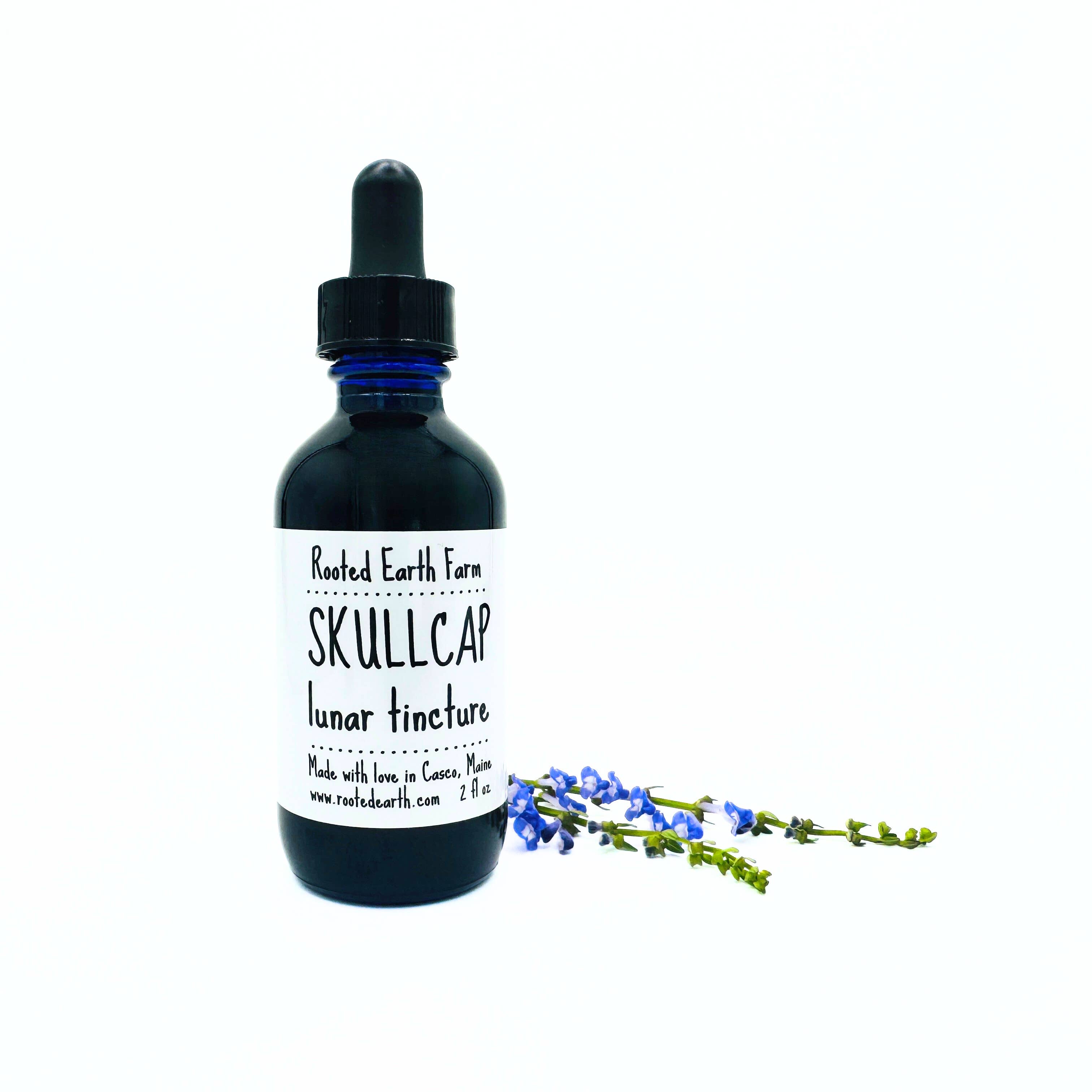 Rooted Earth Farm + Apothecary - Wholesale Tincture - Skullcap Tincture - 2 Size Options6