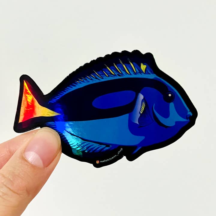 Blue Tang (Holographic) for wholesale by Reef of Clowns