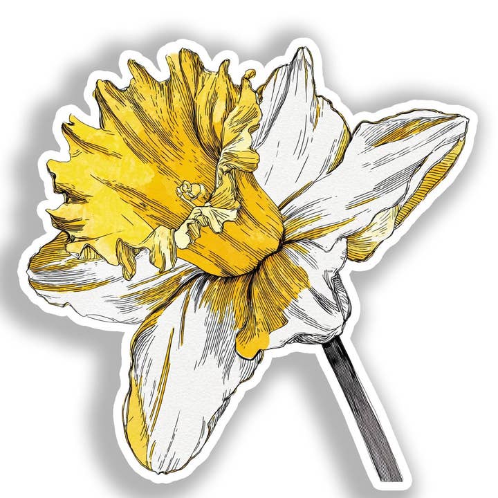 Daffodil Flower Decal Sticker # A019730 for wholesale by Yoonek Graphics