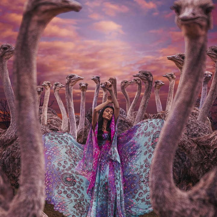 Avestruces danzantes para venta al por mayor de Tigon Art