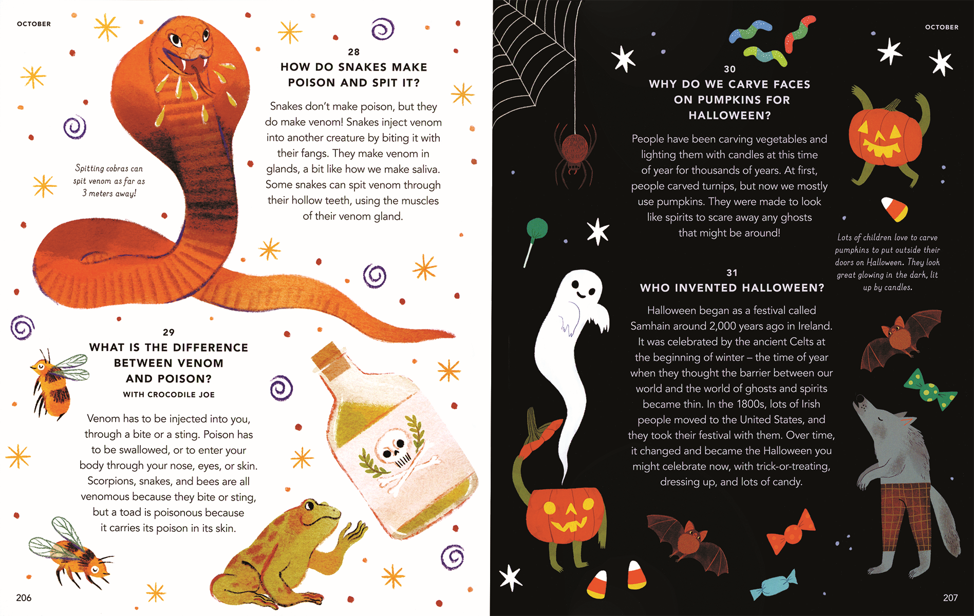 EDC Publishing - Wholesale Early Reader Book (6-8) - Everything Under the Sun4