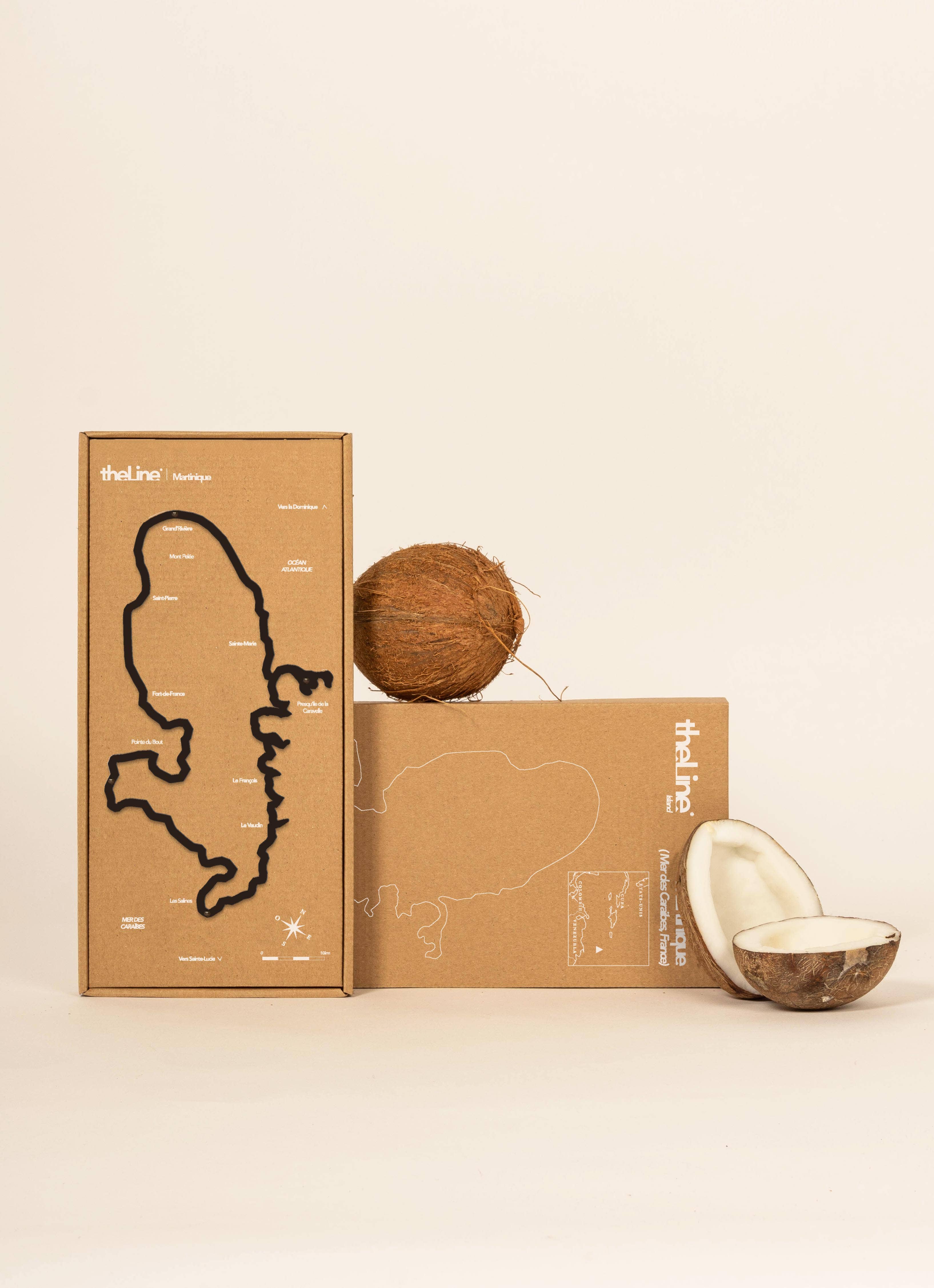 The Line - Wholesale Wall Accent - Wall Decor - Martinique - Black1