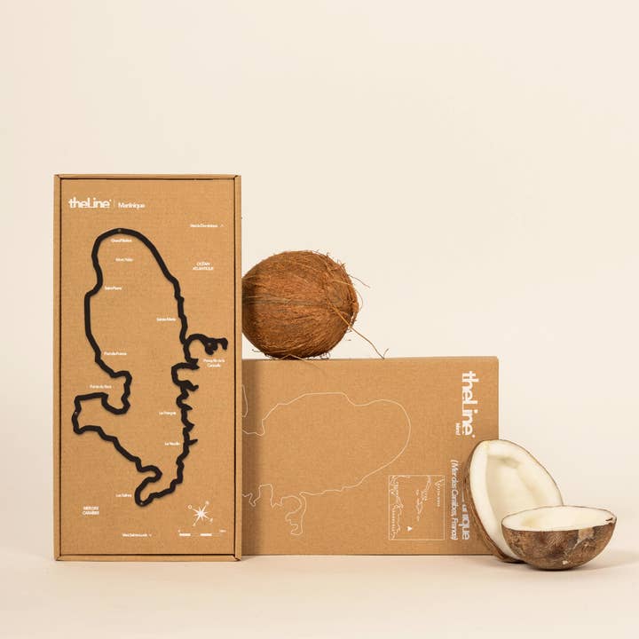 The Line - Wholesale Wall Accent - Wall Decor - Martinique - Black1