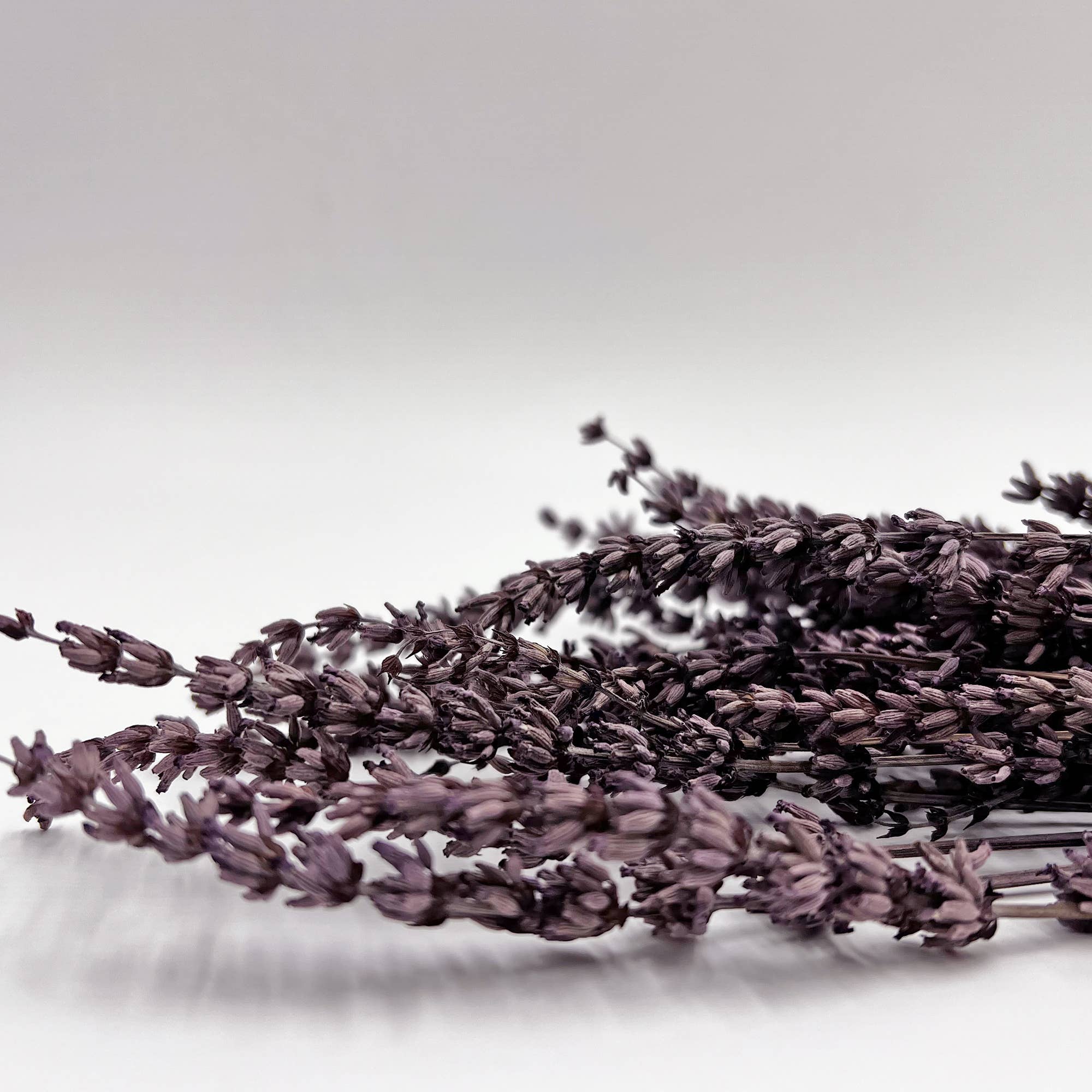 2626 Designs – Engroshandel Tørrede/pressede blomster – Tørrede konserverede lavendelbuketter, 53 cm, flere farver6