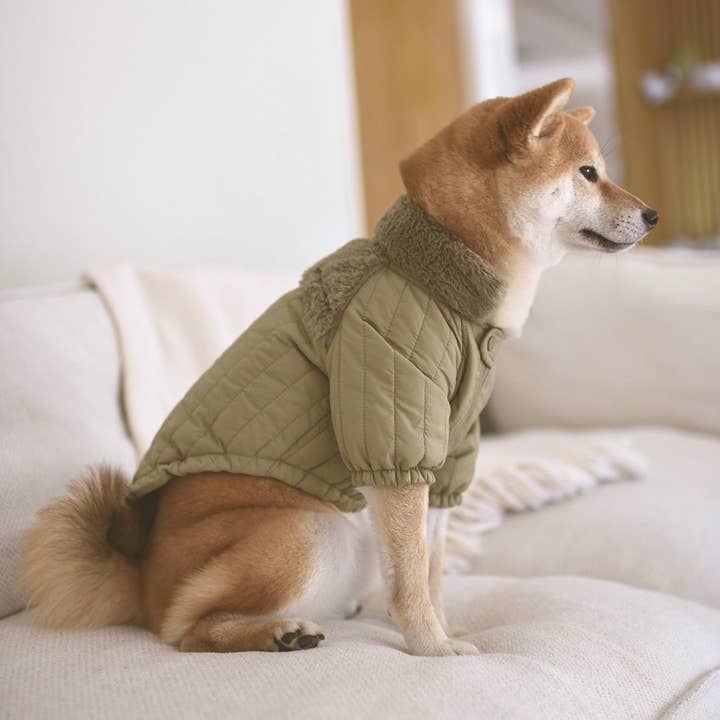 Lambwolf Collective - Wholesale Pet Coat - Dog - SOHO//DOG CLOTHING//APPAREL