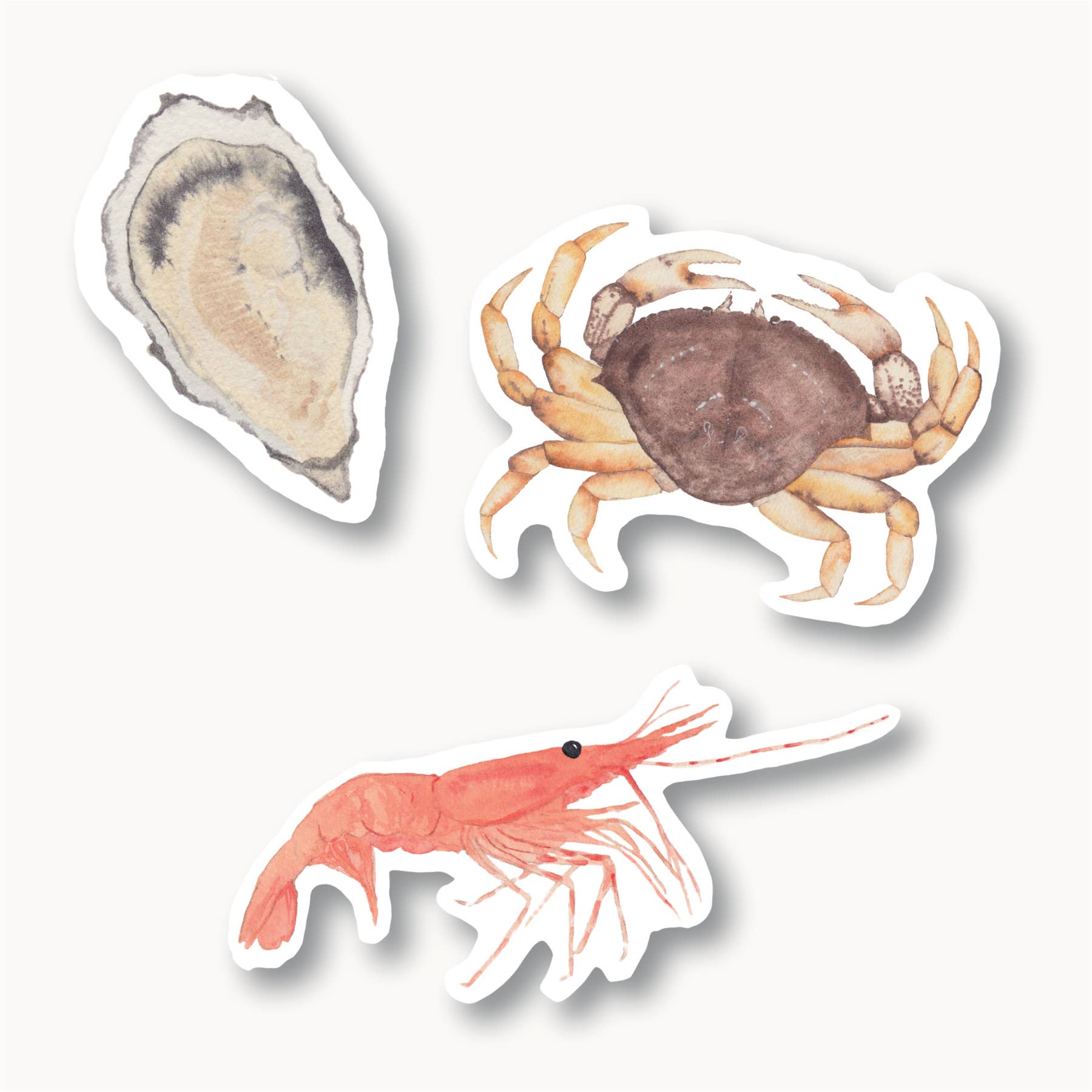 Sophie Tivona Paper - Wholesale Sticker - Sea Life Shellfish Sticker Pack - Prawn, Oyster, Dungeness Crab0