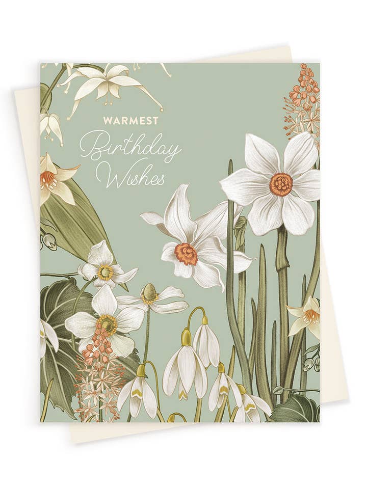 Buon Compleanno | Narcisi | Biglietto di Auguri per la vendita all'ingrosso da parte di LINNA