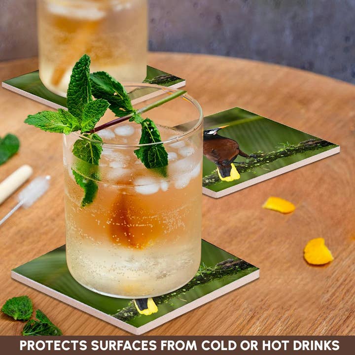 3dRose - Wholesale Coasters - 3dRose, Montezuma oropendola, Costa Rica, Central America, Coaster2