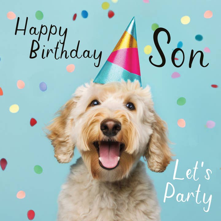 Son Birthday Card - Birthday Son Party Dog for wholesale by Hammond Gower Publications Ltd
