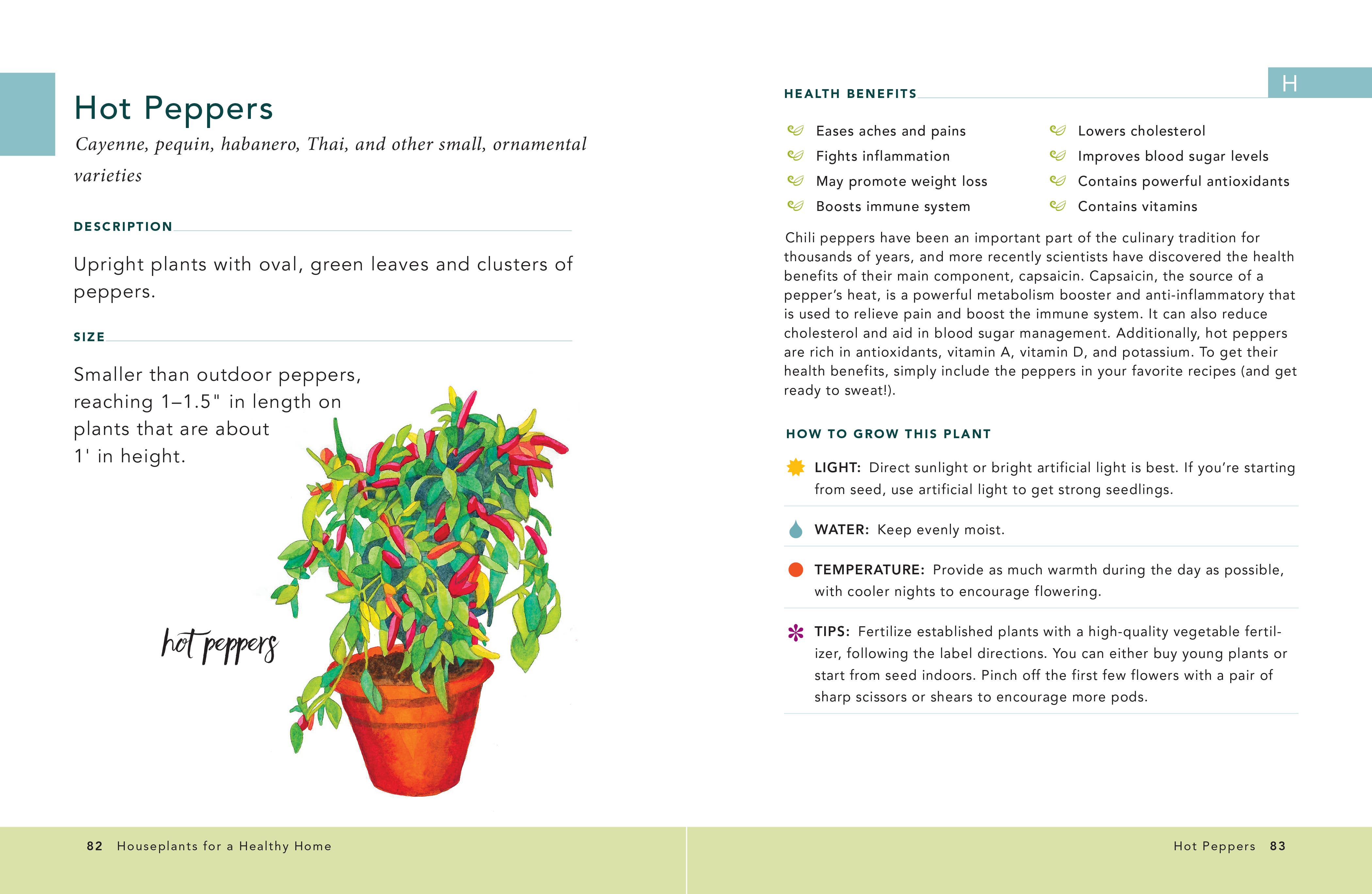 Simon & Schuster UK – wholesale Home and garden – Houseplants for a Healthy Home2