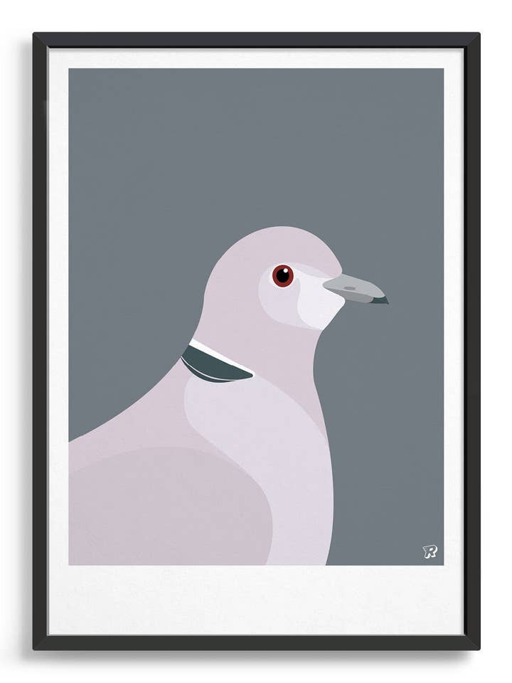 Lámina de arte de pájaros — Dove para venta al por mayor de Rocket Jack